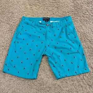 Men’s Knickerbocker Vintage Design Toucan Shorts
